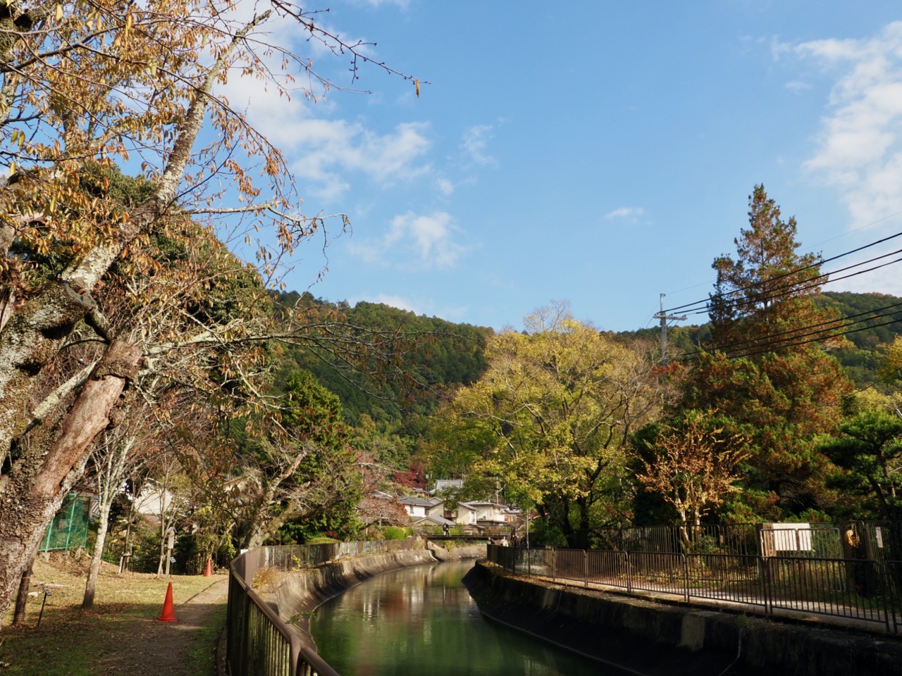 2023-11-23 12-39-46.jpeg 2023 11 23 12 39 46