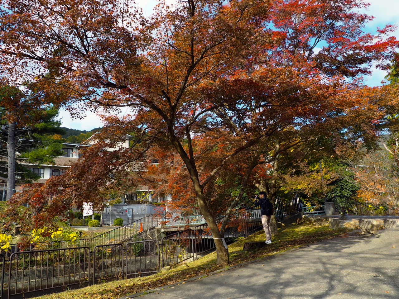 2023-11-23 12-41-59.png 2023 11 23 12 41 59