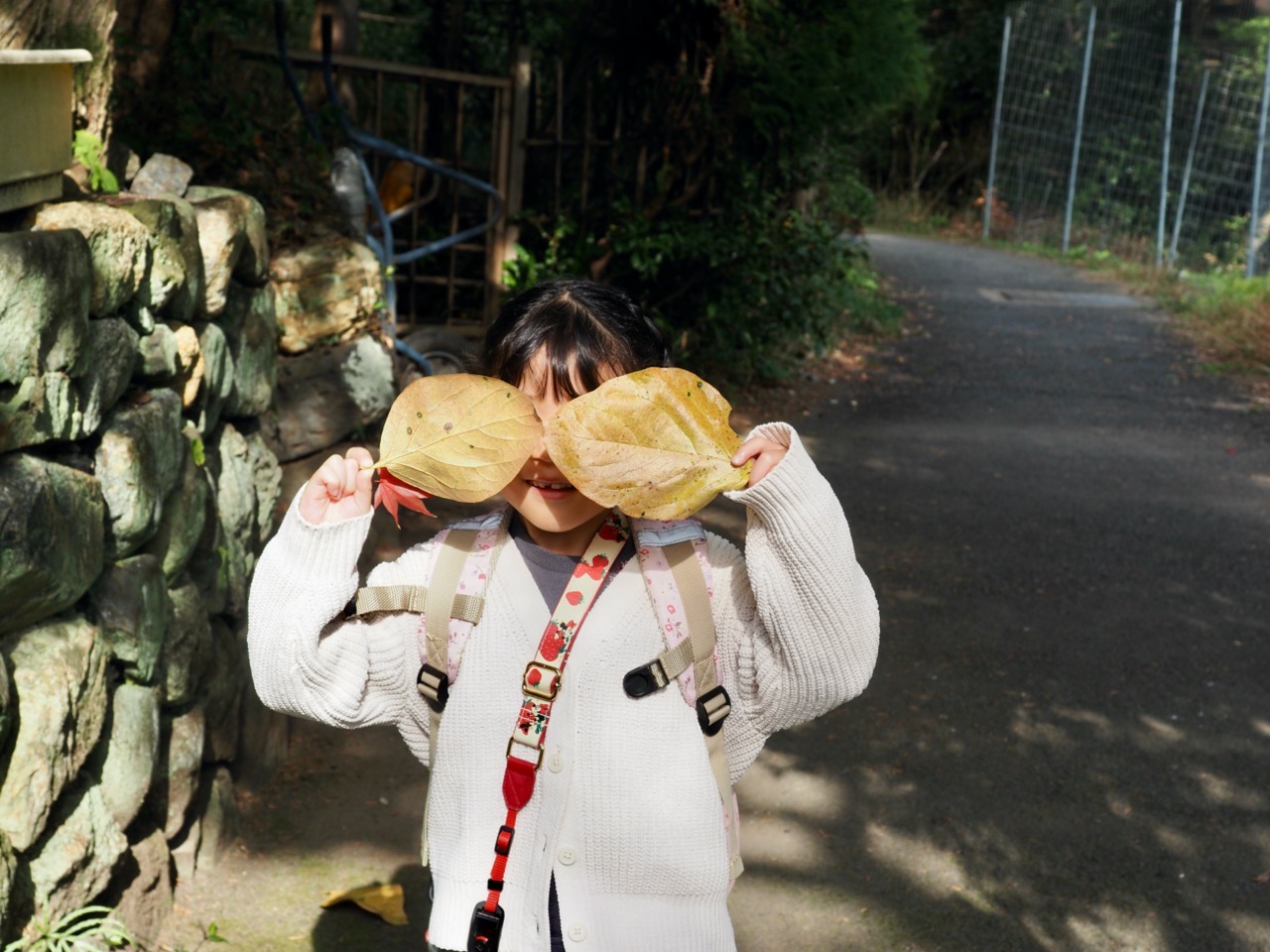 2023-11-23 12-48-15.jpeg 2023 11 23 12 48 15