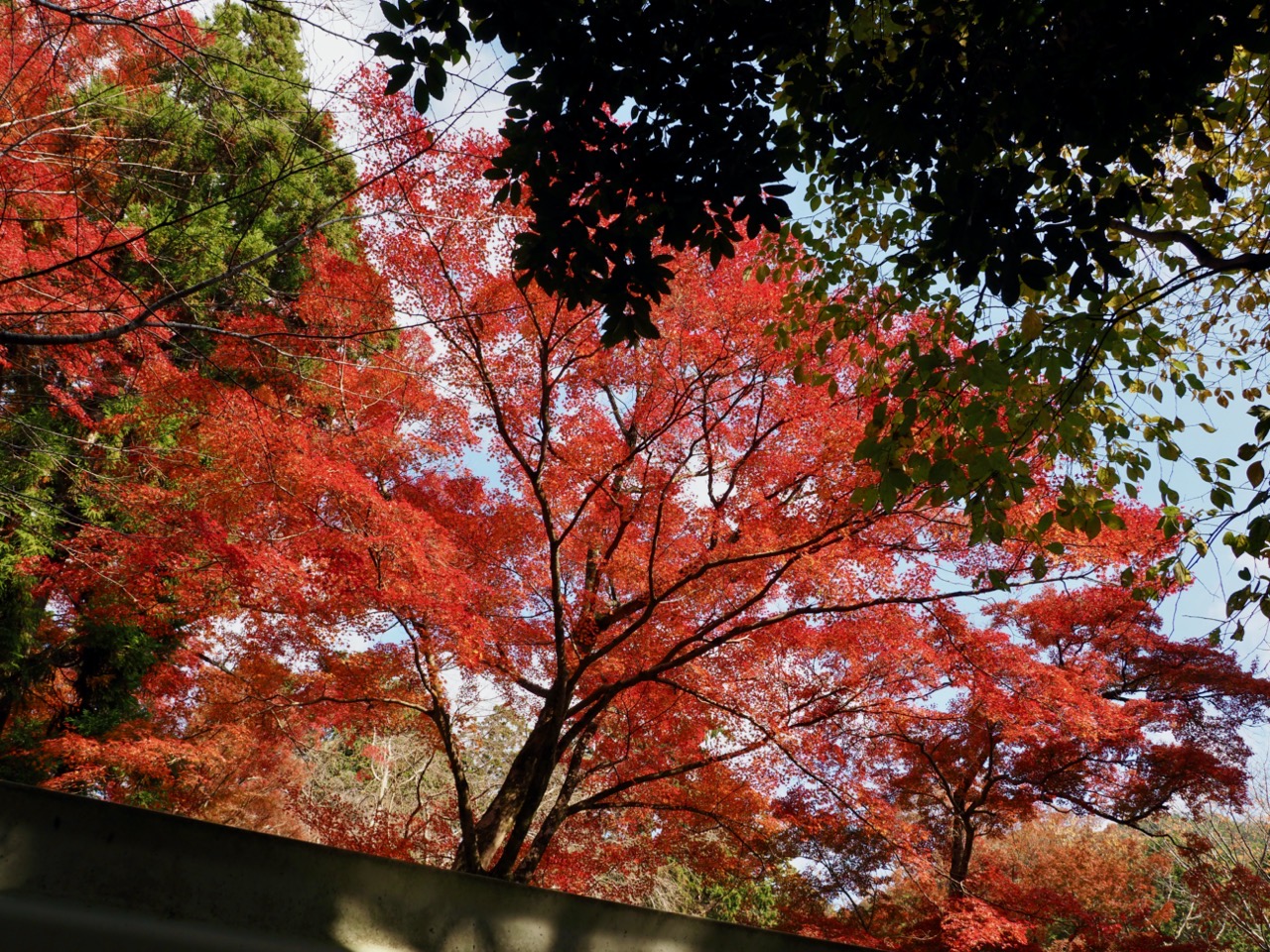 2023-11-23 12-51-06.jpeg 2023 11 23 12 51 06