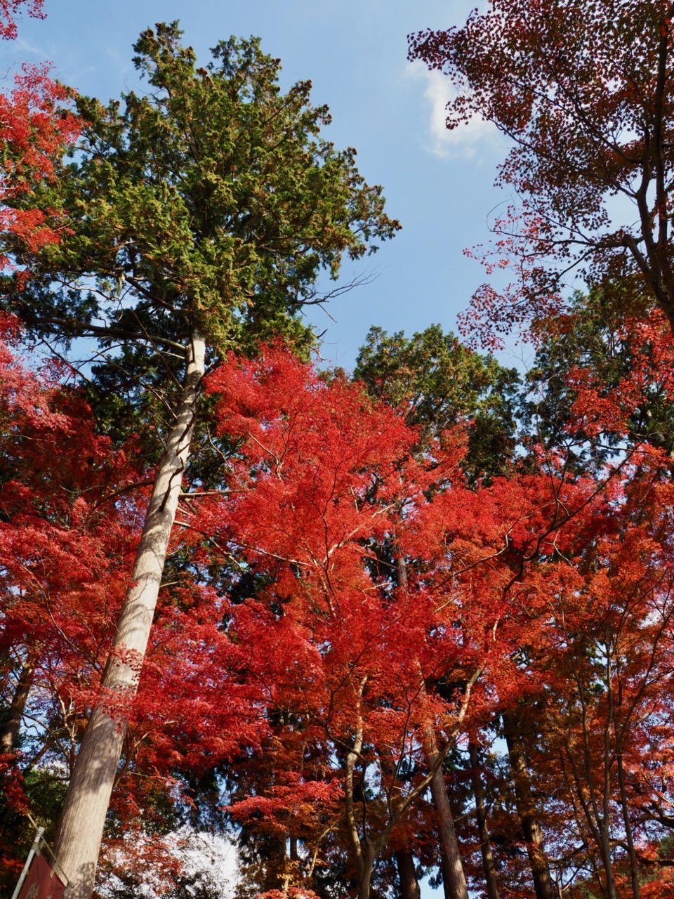 2023-11-23 12-55-15.jpeg 2023 11 23 12 55 15