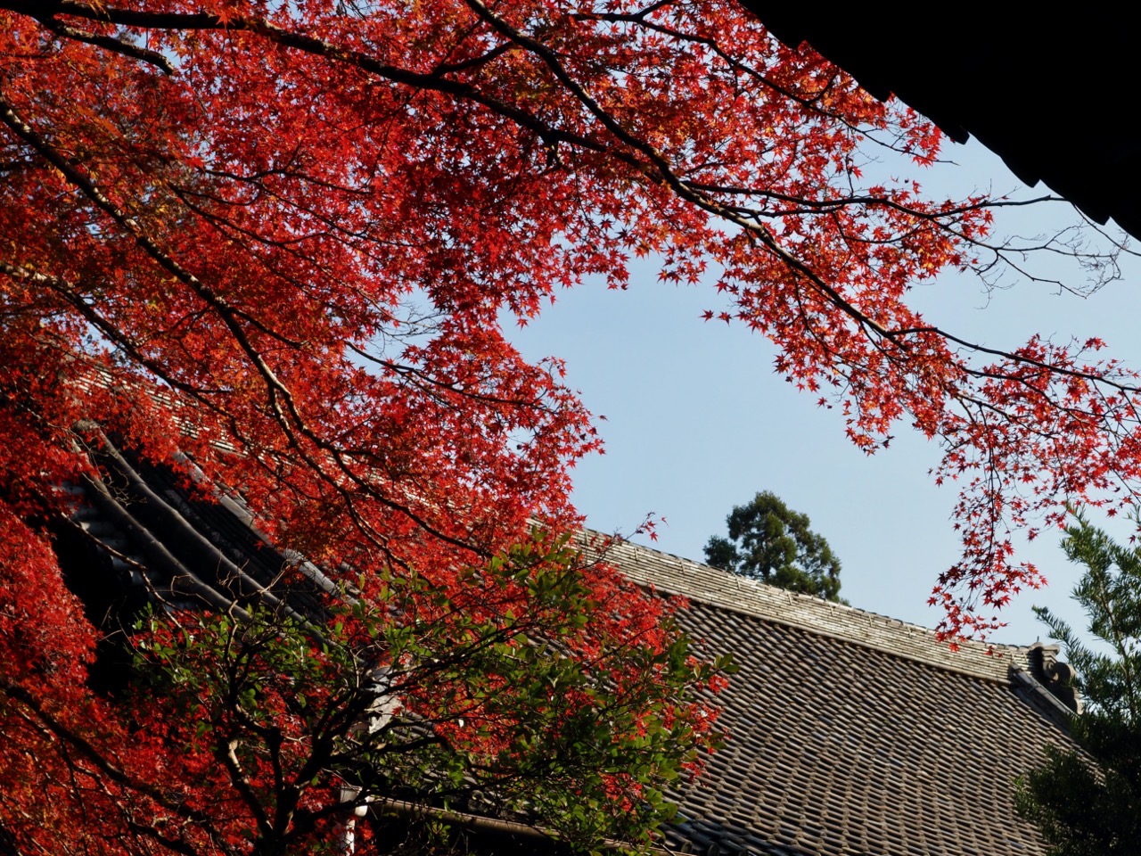 2023-11-23 13-36-18.jpeg 2023 11 23 13 36 18