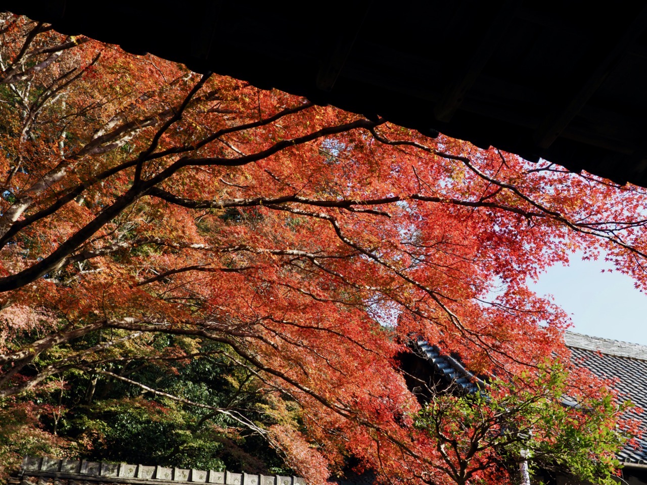 2023-11-23 13-36-45.jpeg 2023 11 23 13 36 45