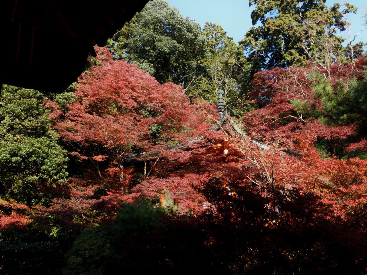 2023-11-23 13-47-02.jpeg 2023 11 23 13 47 02