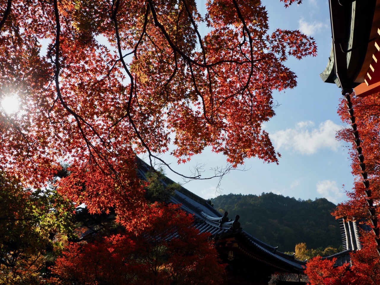 2023-11-23 13-56-43.jpeg 2023 11 23 13 56 43