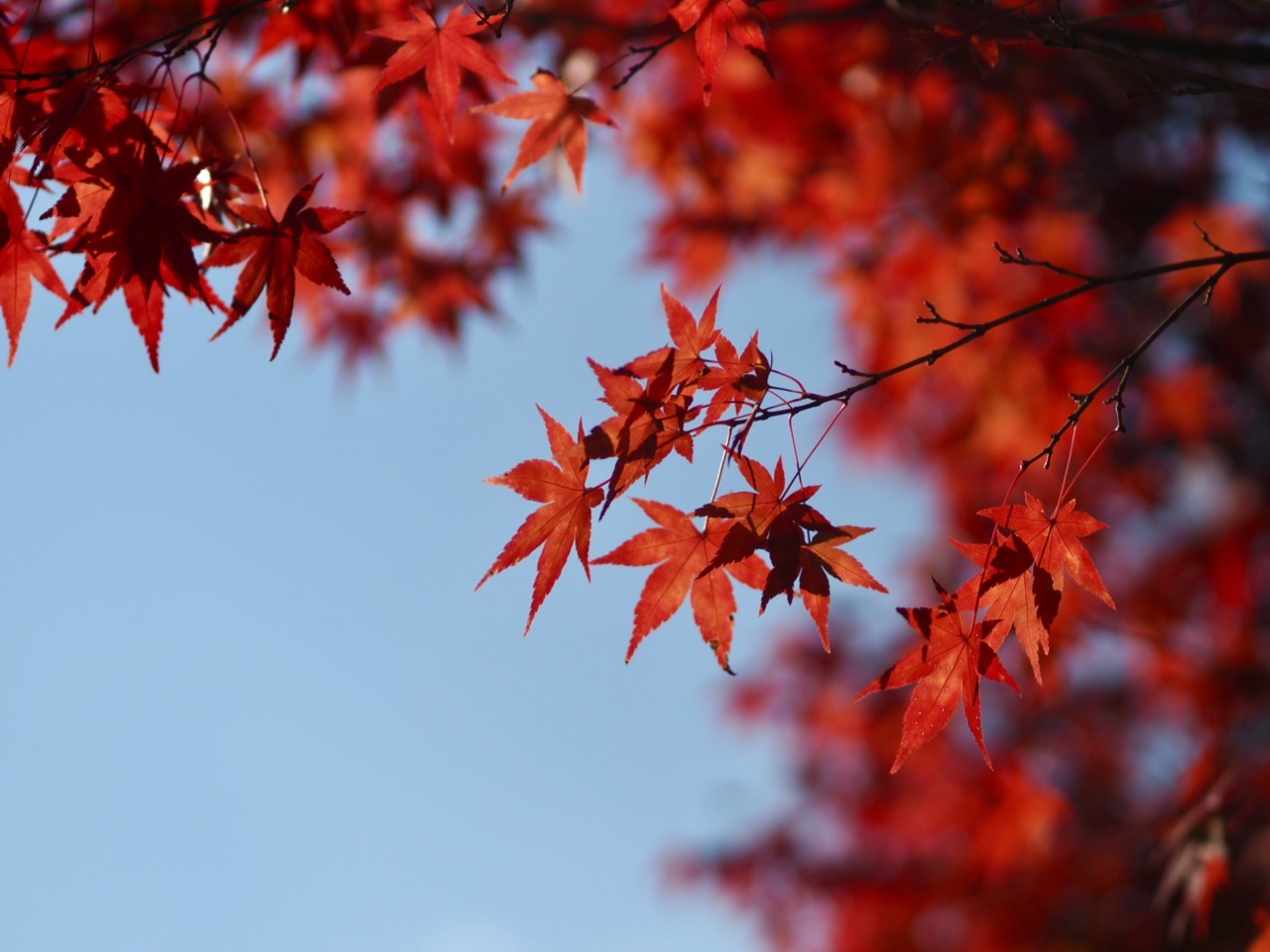 2023-11-23 14-00-42.jpeg 2023 11 23 14 00 42