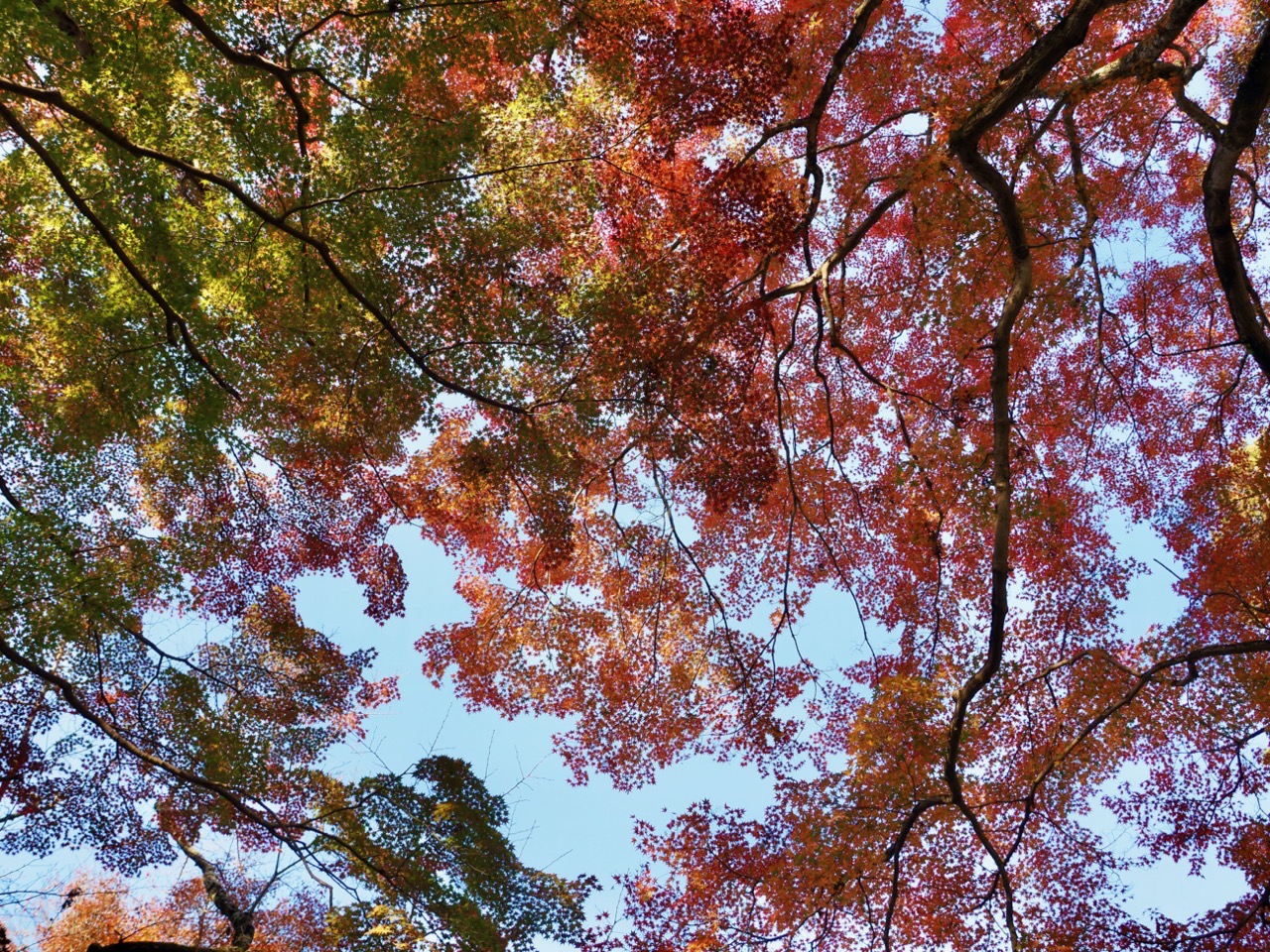 2023-11-23 14-09-34.jpeg 2023 11 23 14 09 34