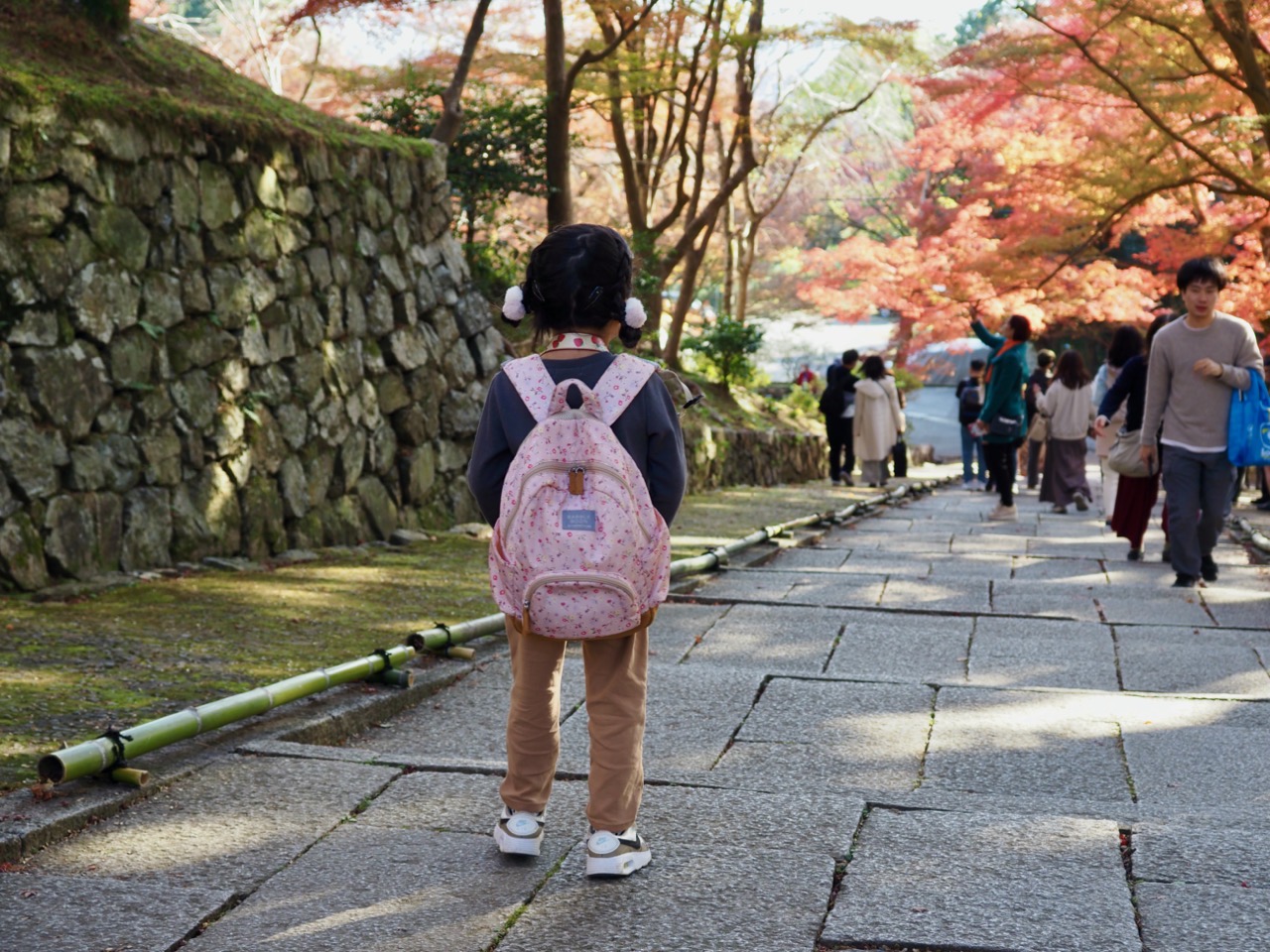 2023-11-23 14-11-27.jpeg 2023 11 23 14 11 27