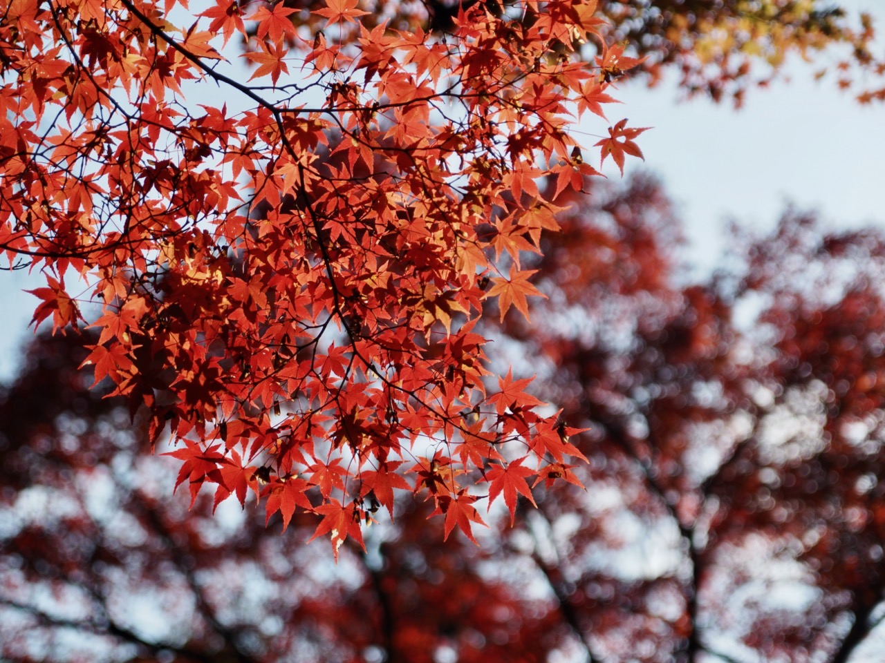 2023-11-23 14-13-38.jpeg 2023 11 23 14 13 38