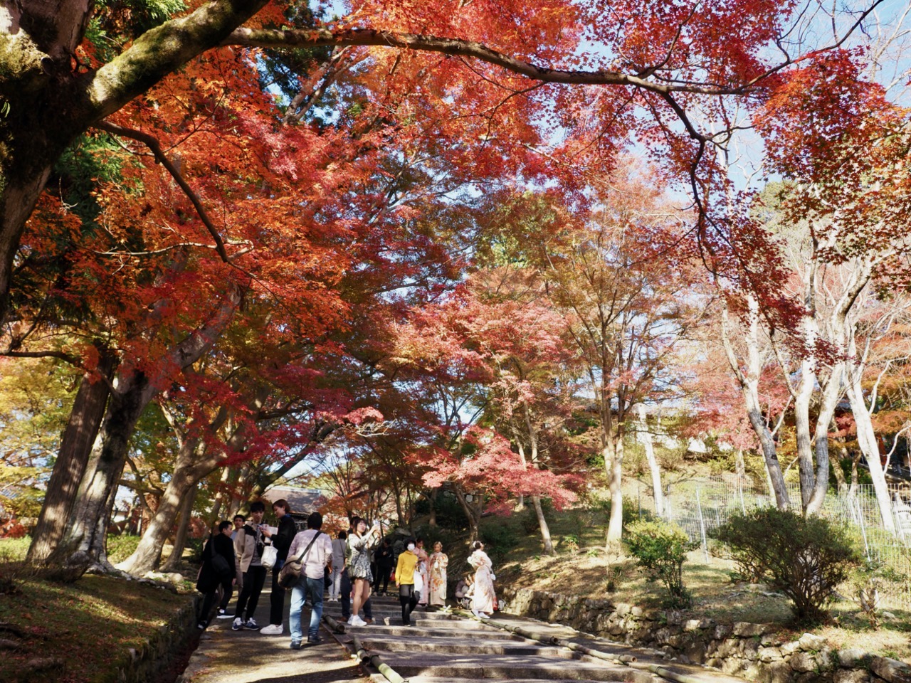 2023-11-23 14-15-17.jpeg 2023 11 23 14 15 17