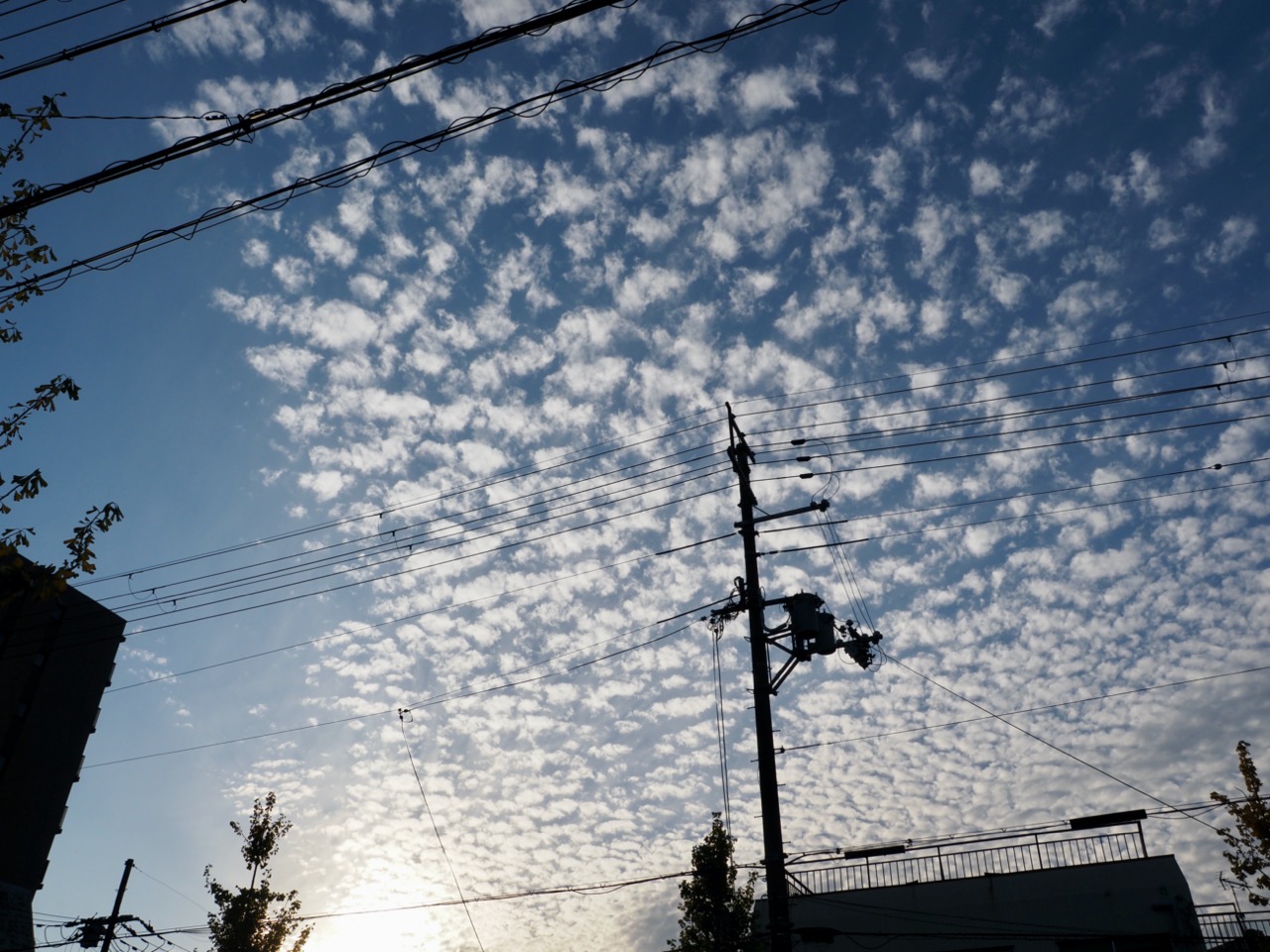 2023-11-23 15-46-42.jpeg 2023 11 23 15 46 42