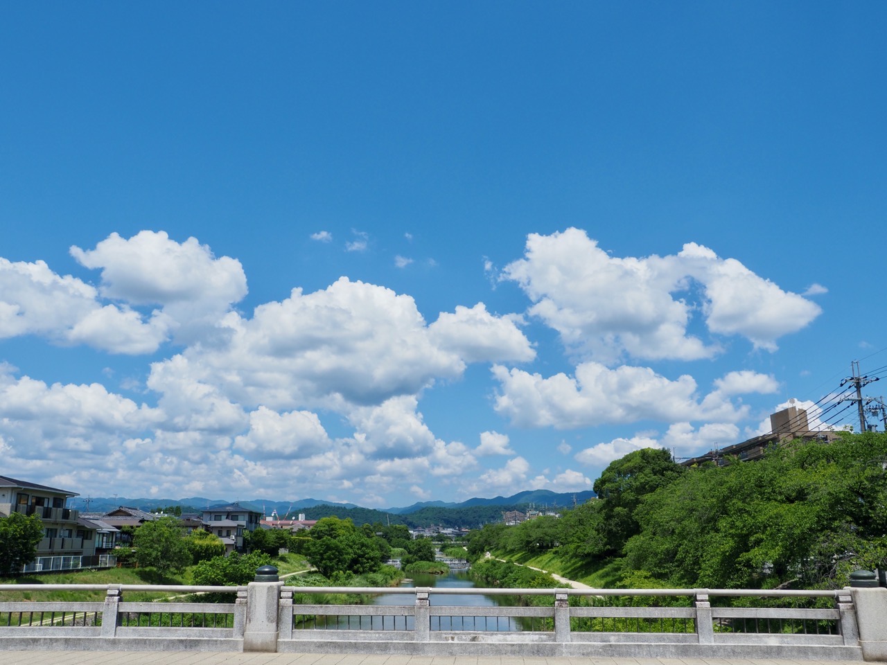 2025-07-25 12-31-04.