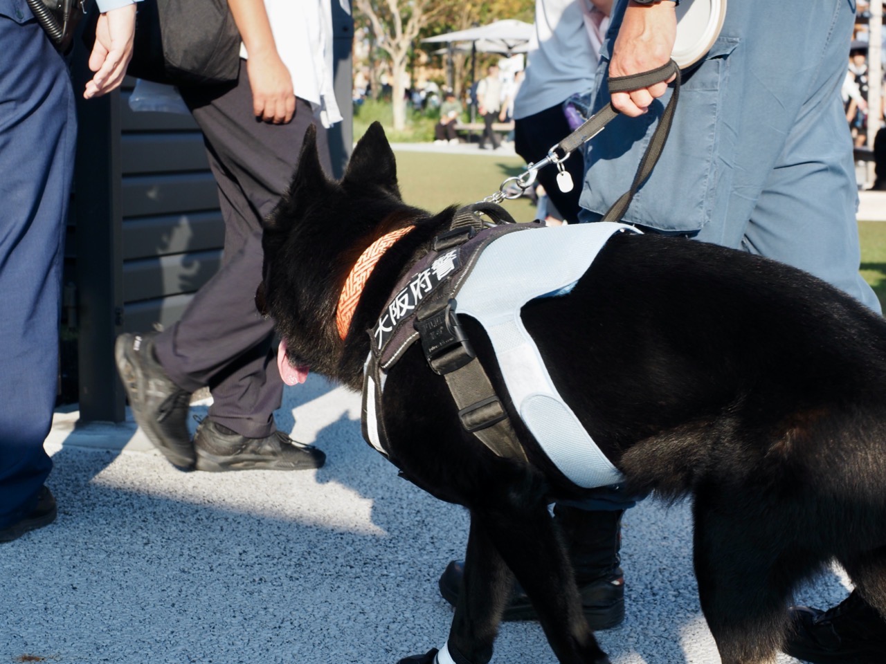 2025-08-02 17-22-05.