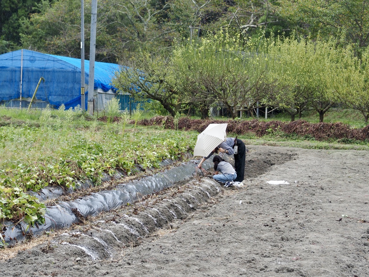 2025-10-12 11-38-58.