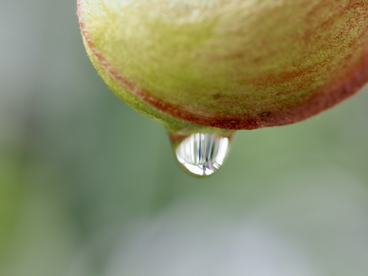 2025-11-02 13-03-28.