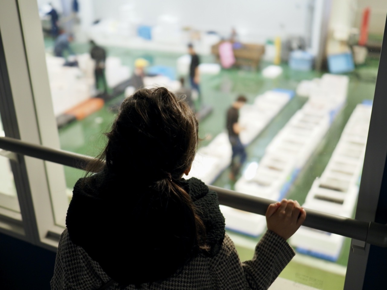 2025-11-08 05-08-51.