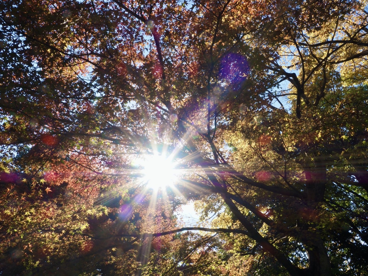 2025-11-16 13-49-28.