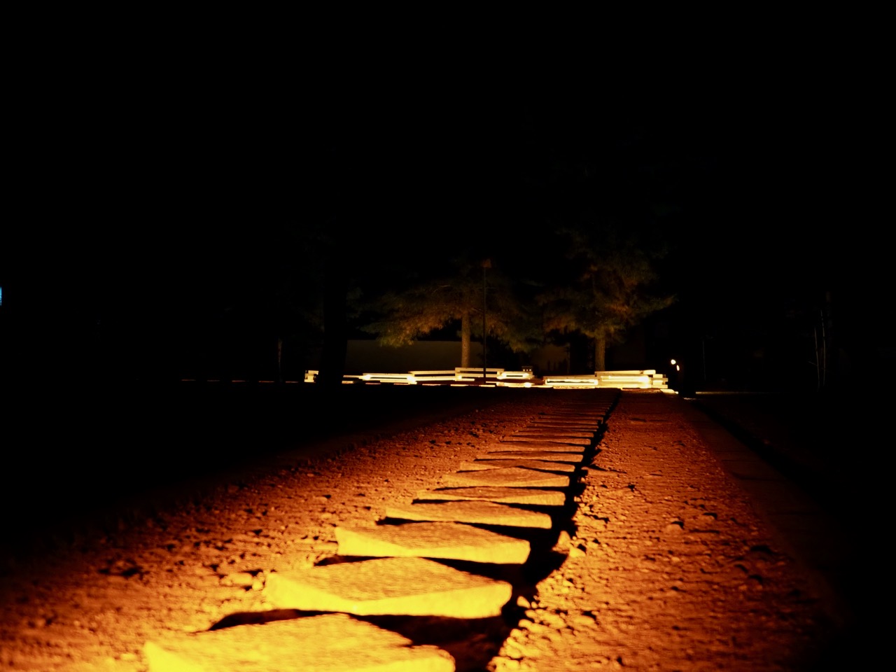 2026-01-17 19-04-57.jpeg 2026-01-17 19-04-57.