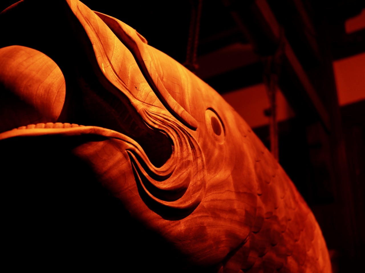 2026-01-17 19-23-33.jpeg 2026-01-17 19-23-33.