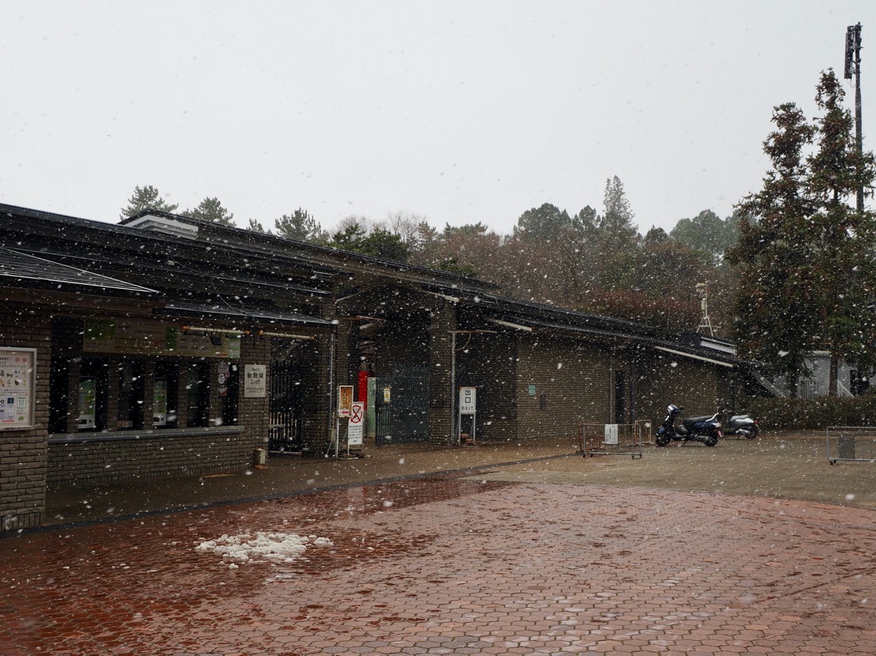 2026-01-25 12-47-00.