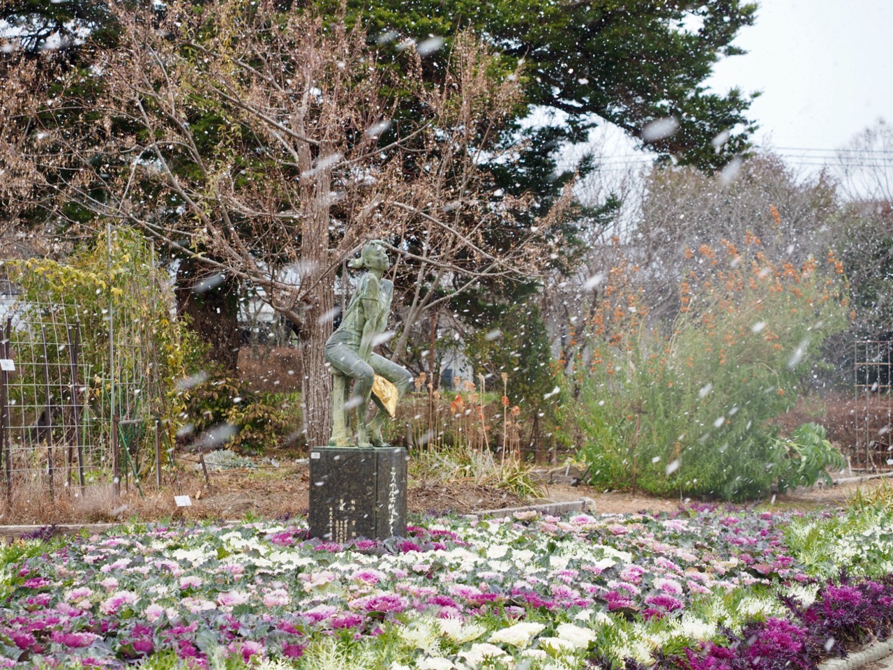 2026-01-25 12-49-41.