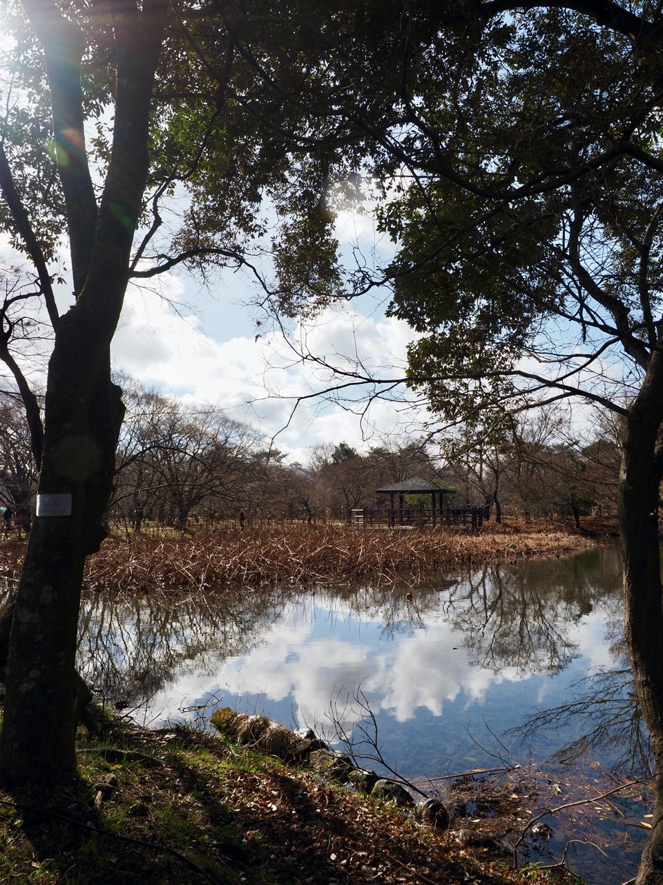 2026-01-25 13-09-27.