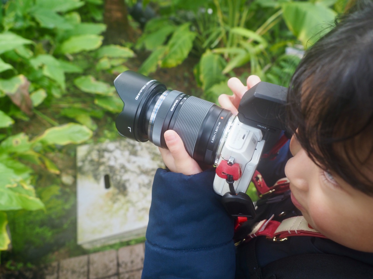 2026-01-25 13-37-40.