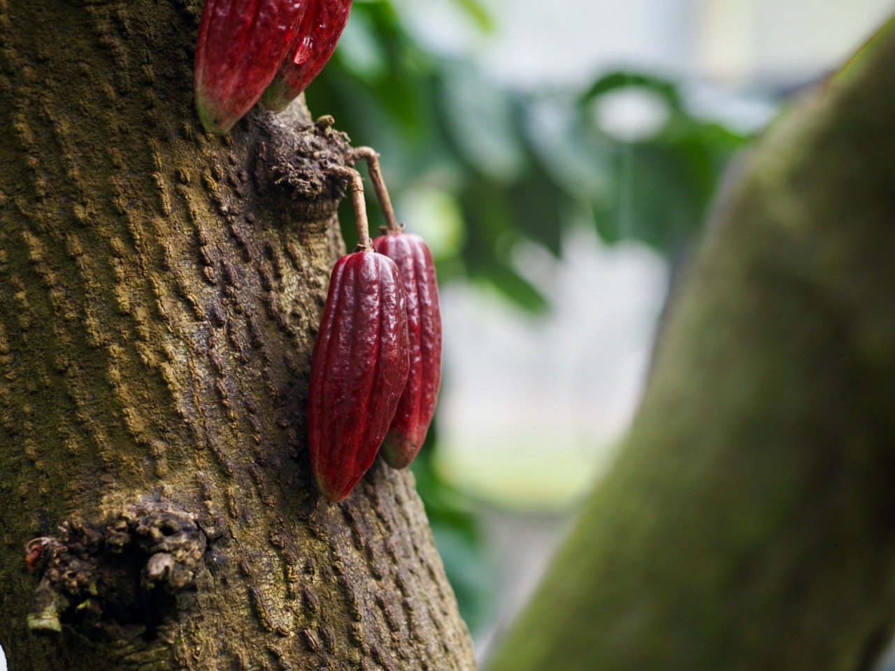 2026-01-25 13-43-32.