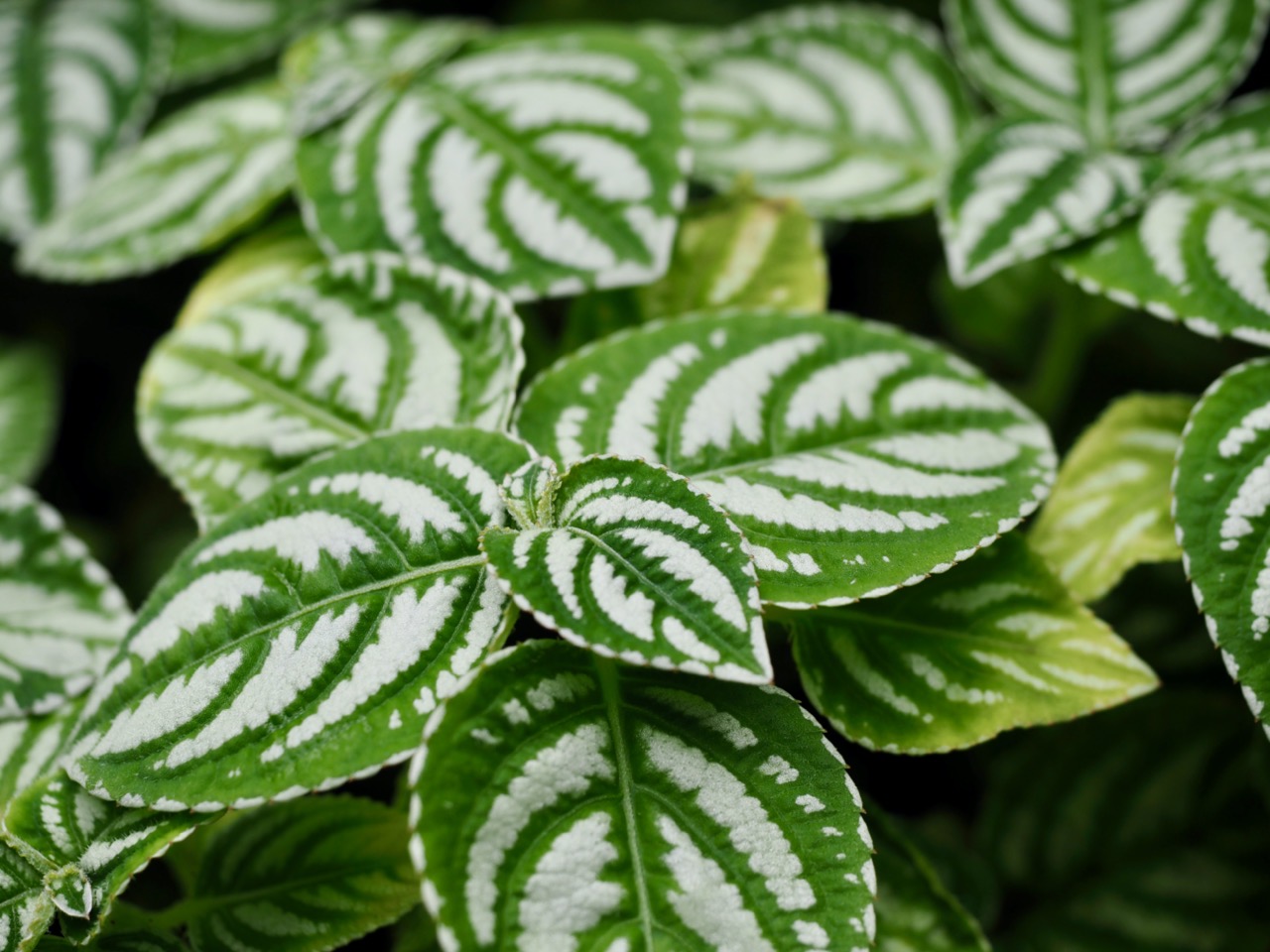 2026-01-25 13-46-58.