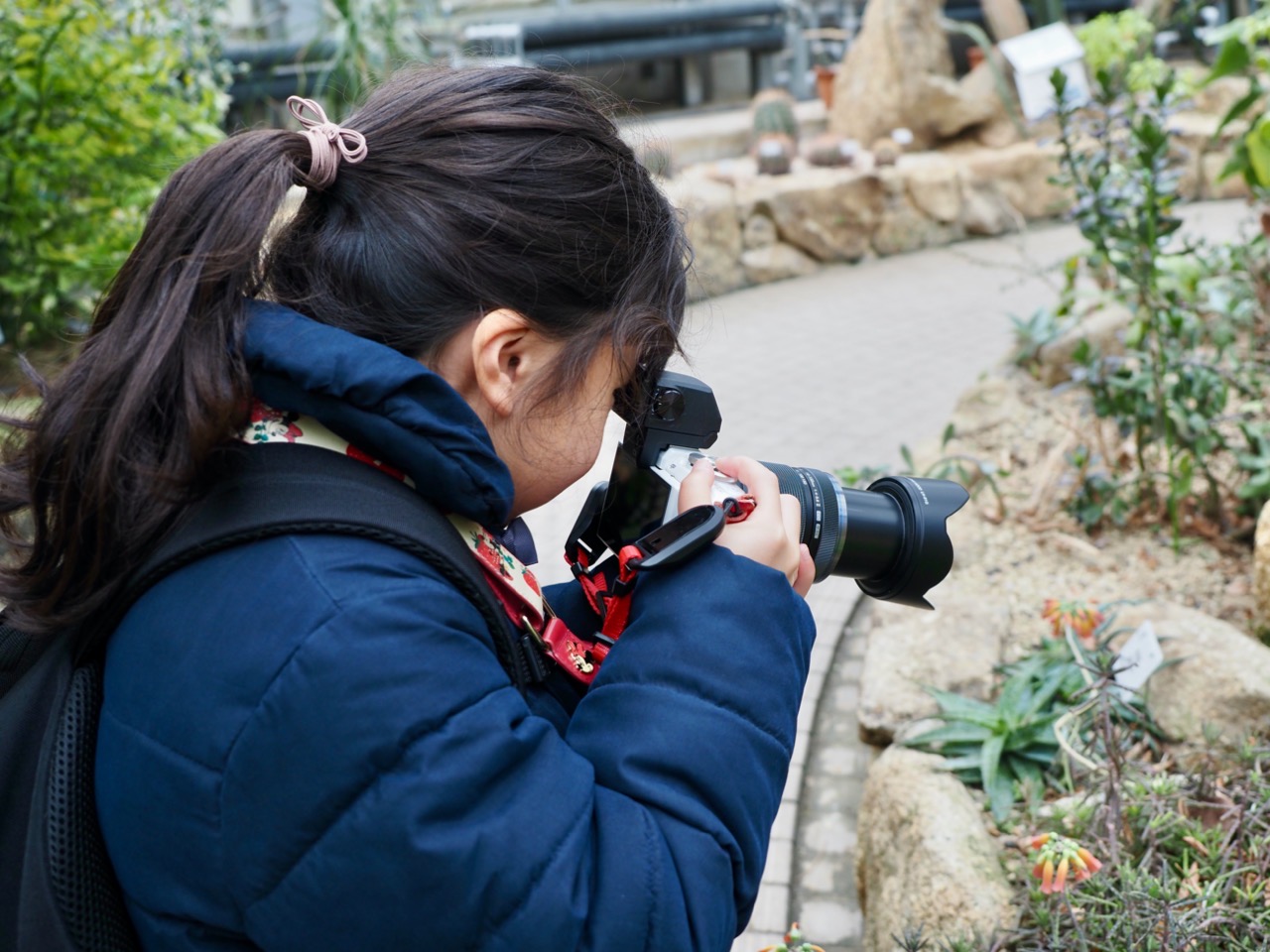 2026-01-25 13-48-48.