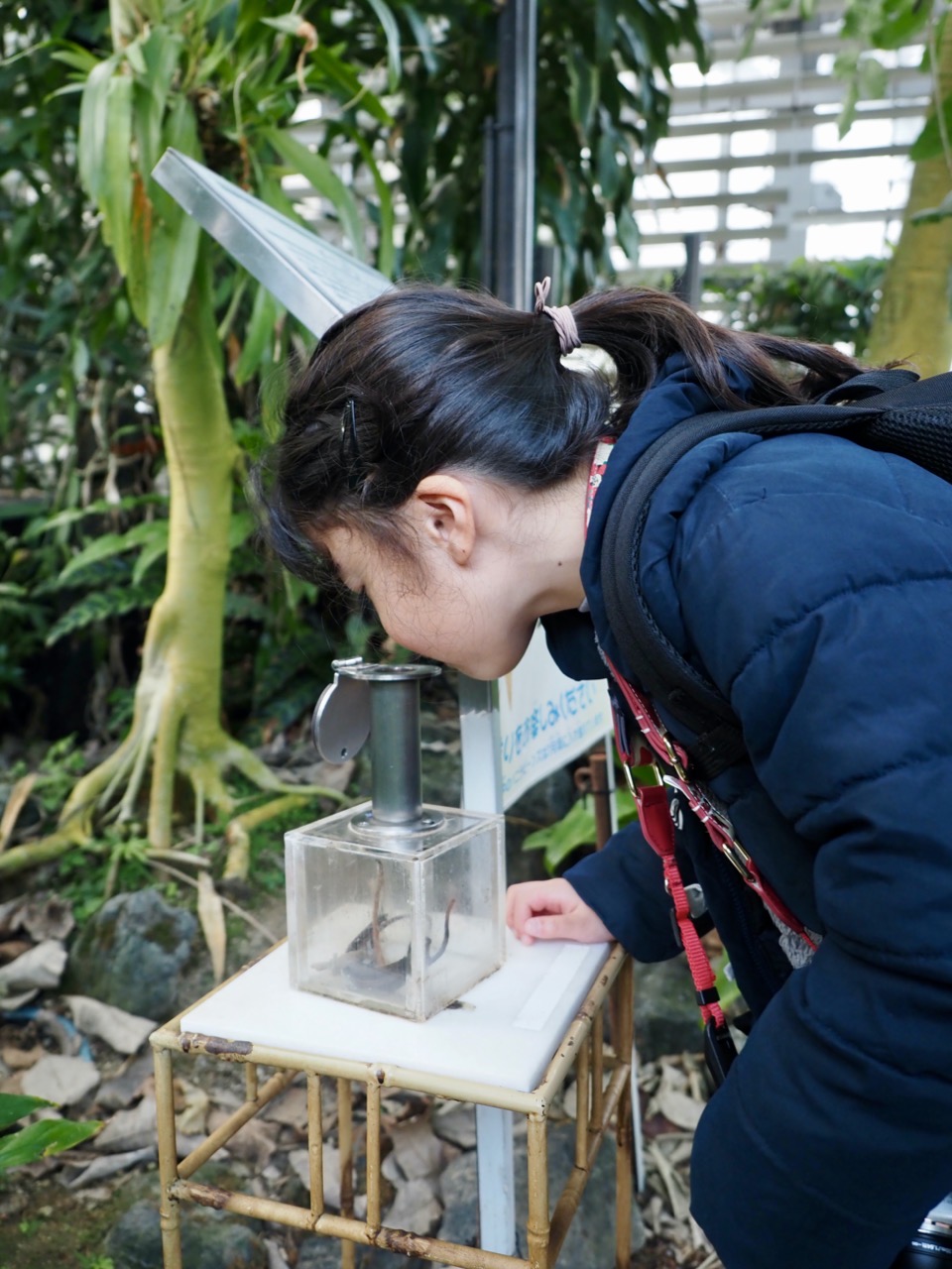 2026-01-25 13-57-58.