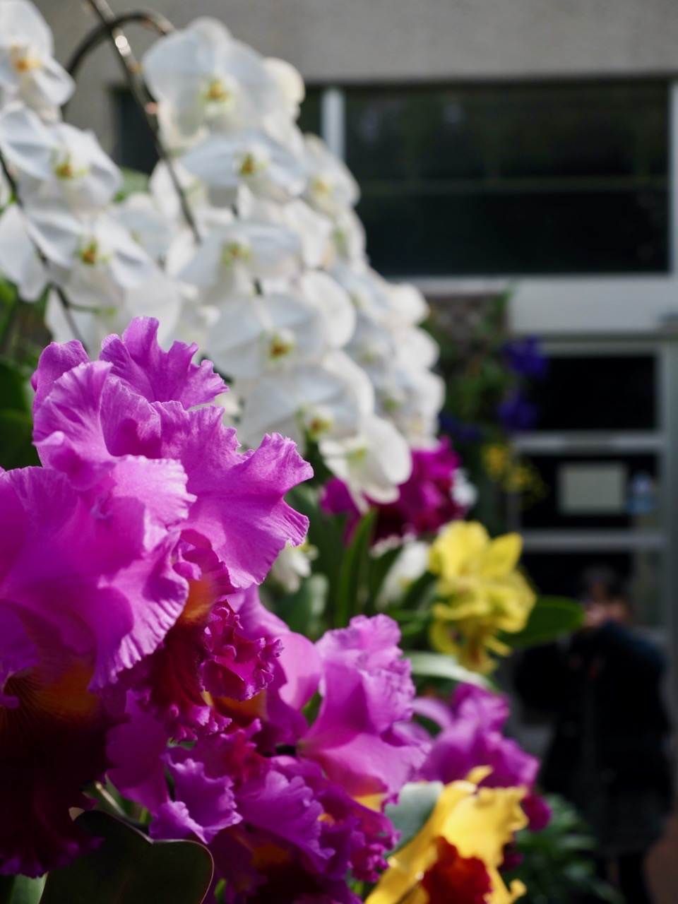 2026-01-25 14-00-01.