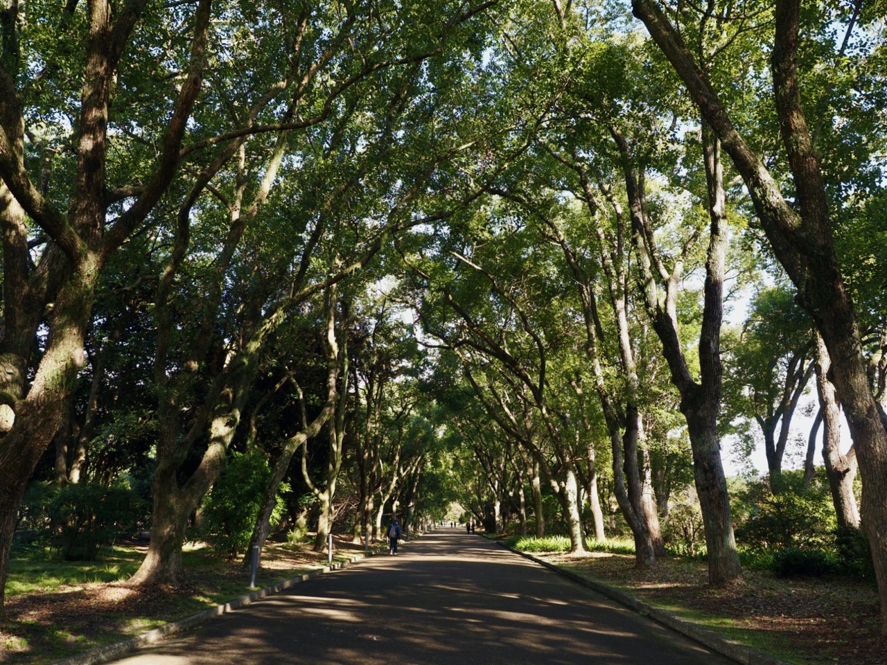 2026-01-25 14-11-03.