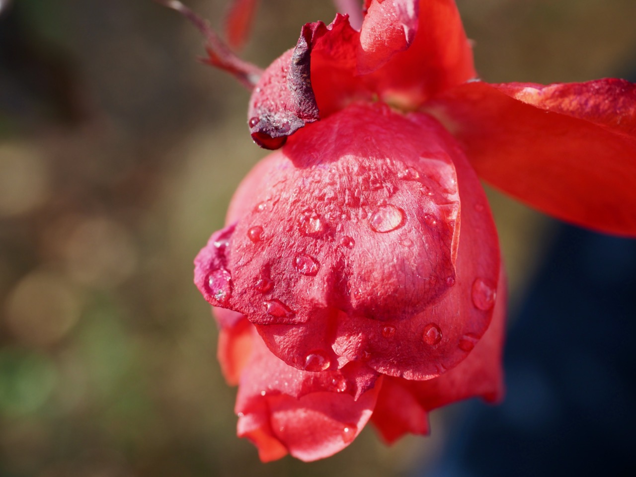 2026-01-25 14-17-23.