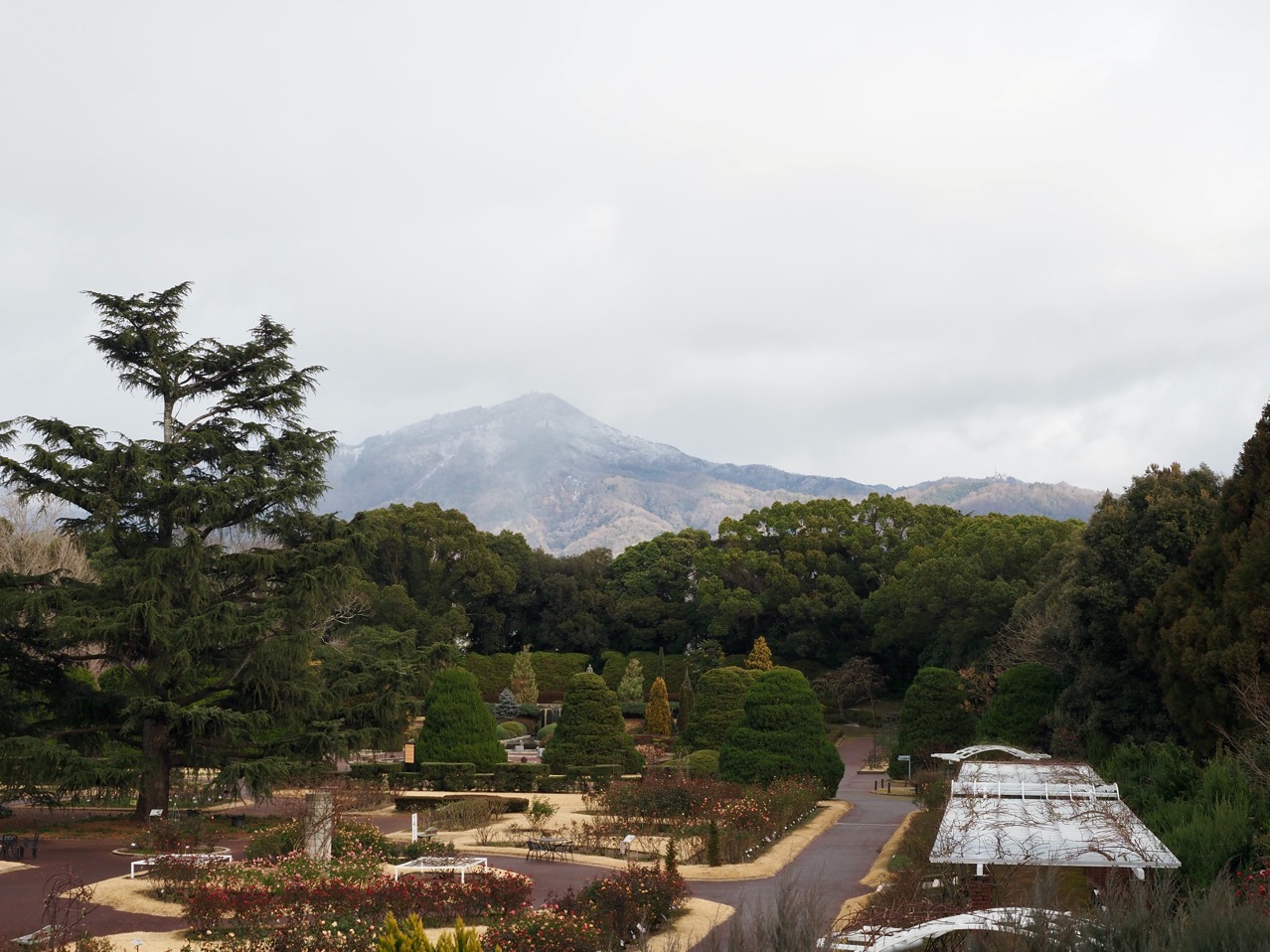 2026-01-25 14-19-21.