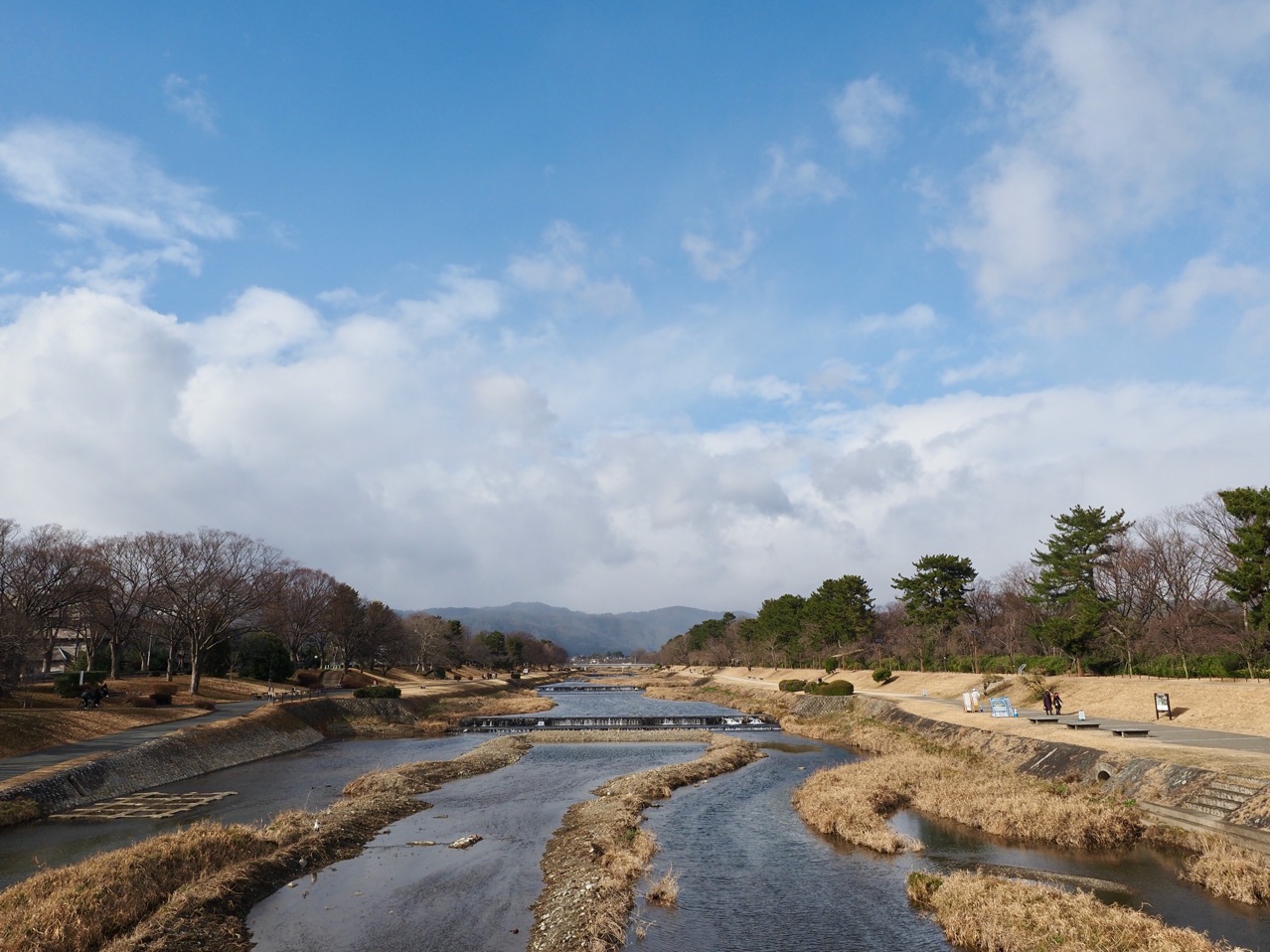 2026-01-25 14-33-22.