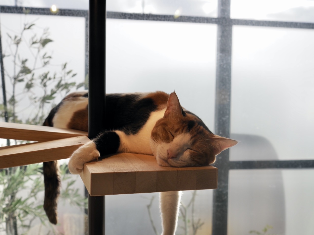 2026-01-31 14-15-41.jpeg 2026-01-31 14-15-41.