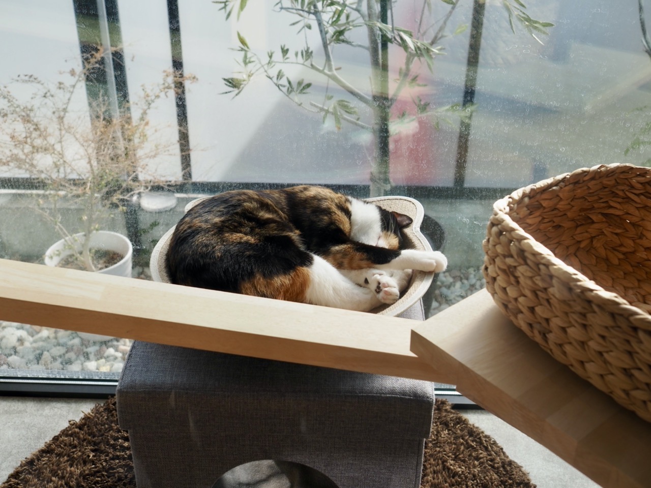 2026-01-31 14-15-52.jpeg 2026-01-31 14-15-52.