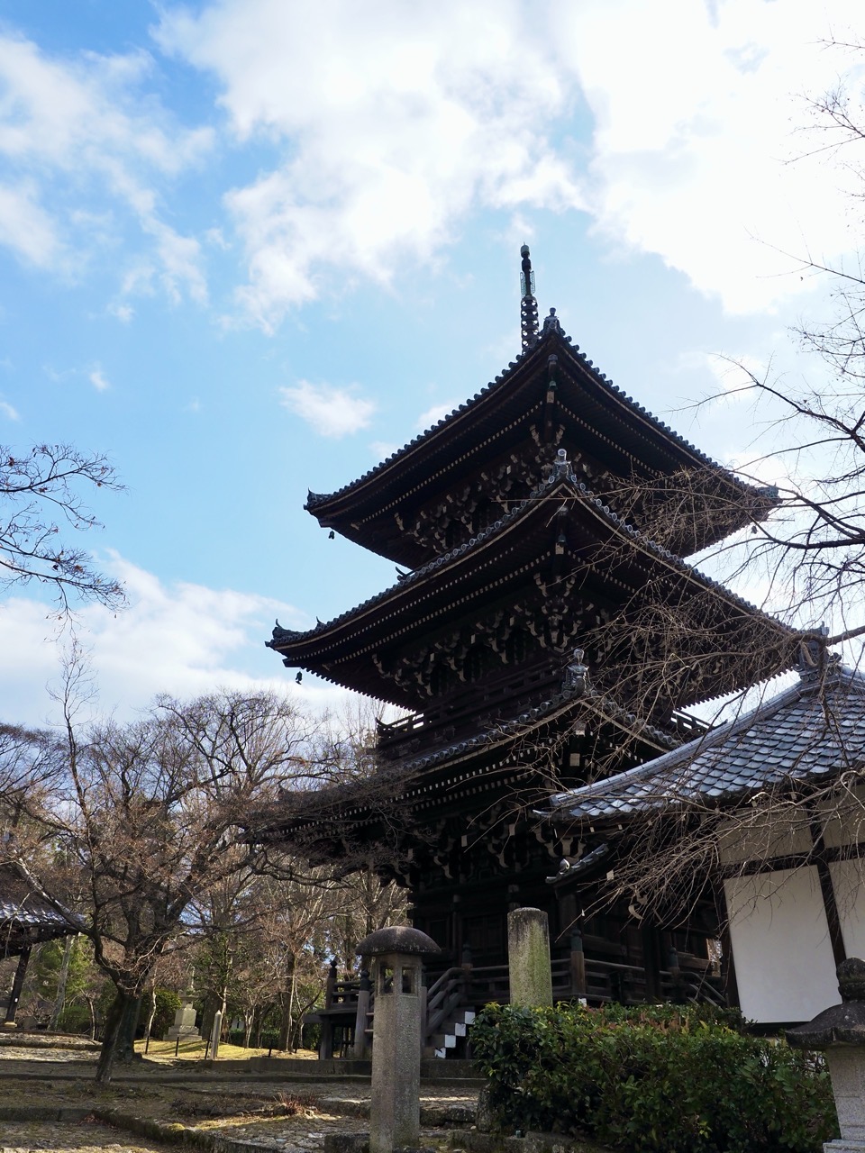 2026-02-01 13-56-21.jpeg 2026-02-01 13-56-21.