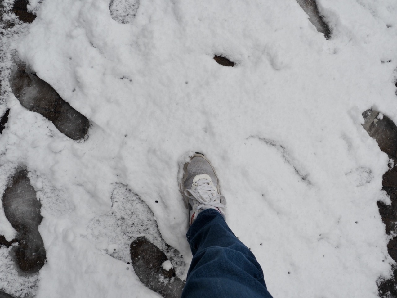 2026-02-08 14-02-56.