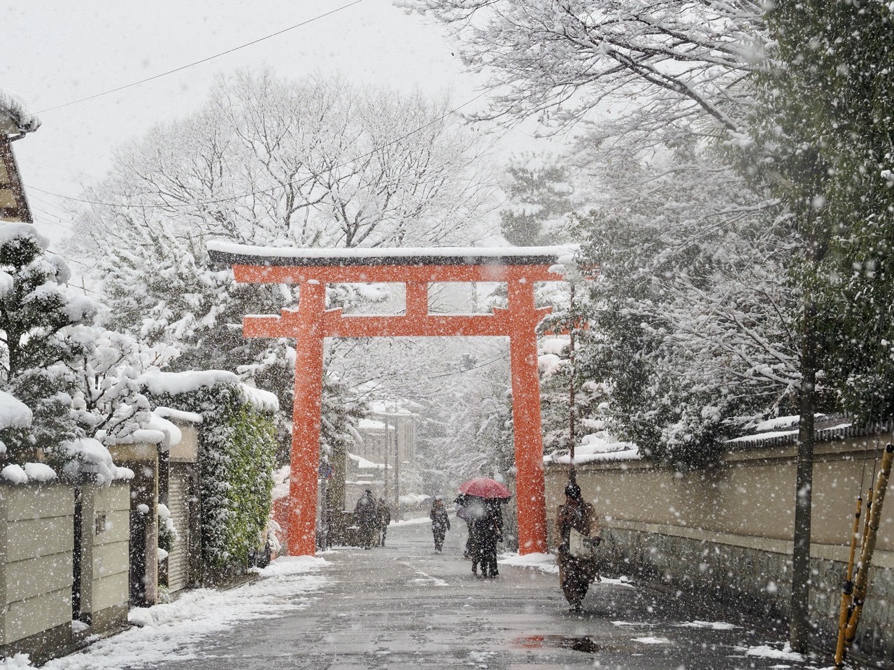 2026-02-08 14-16-44.