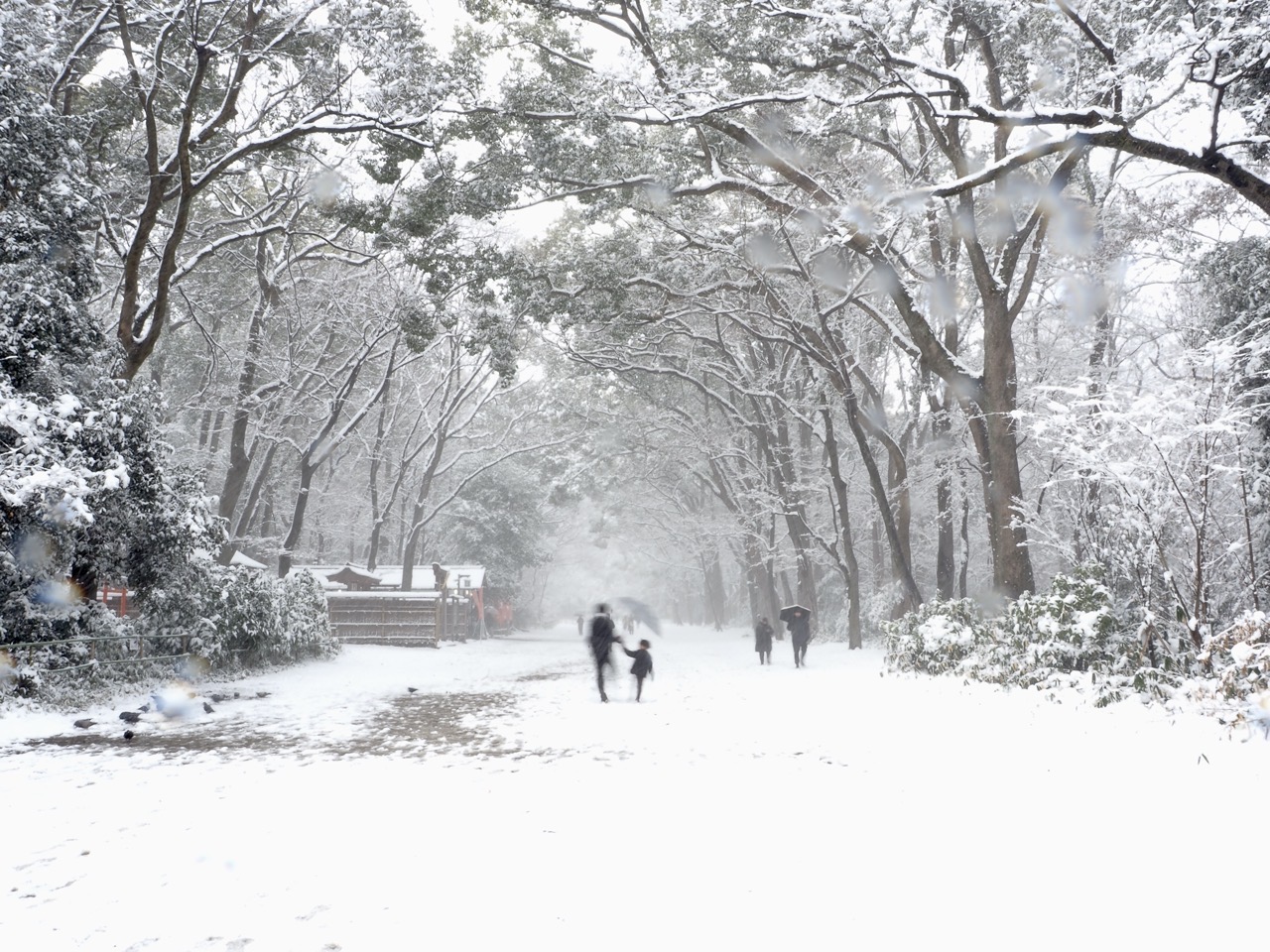 2026-02-08 14-22-33.