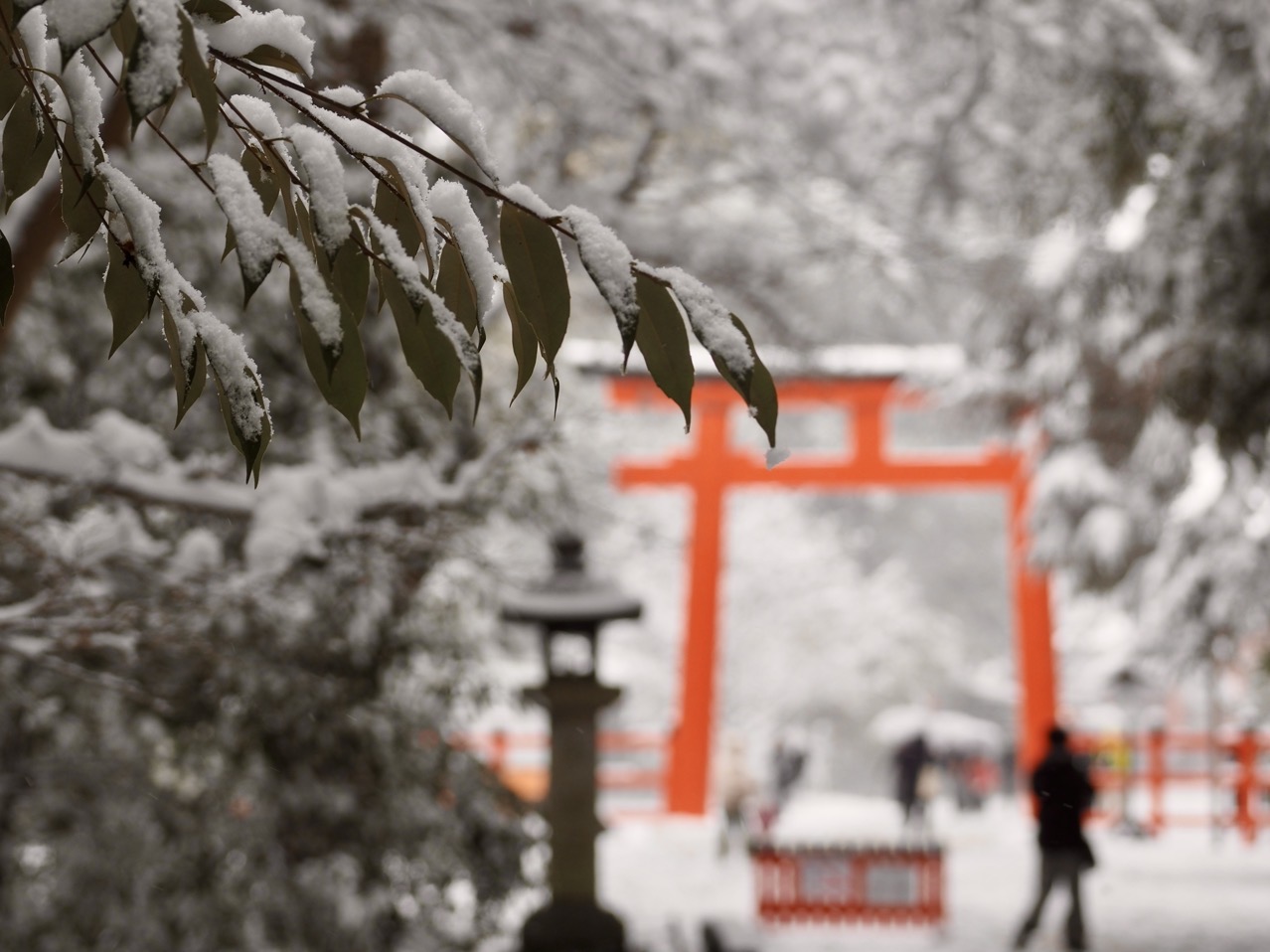 2026-02-08 14-26-31.