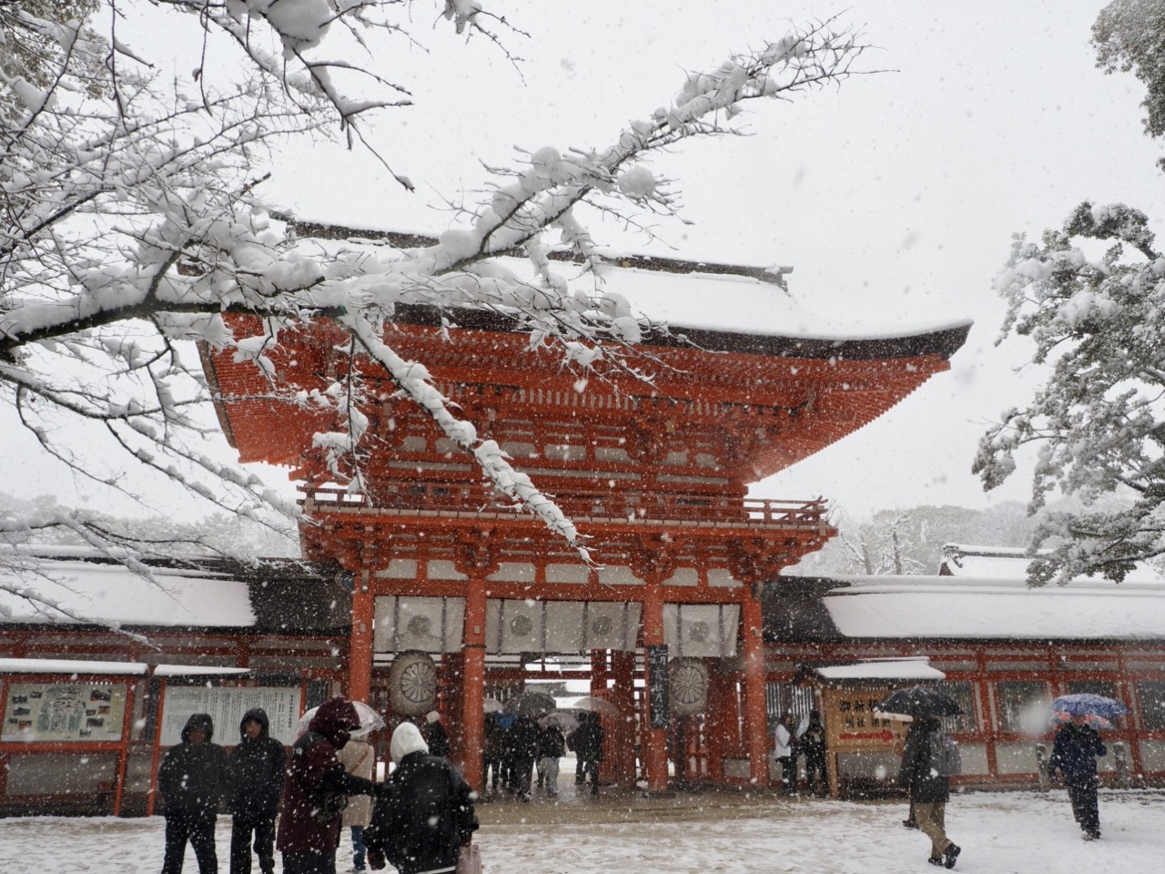 2026-02-08 14-31-43.