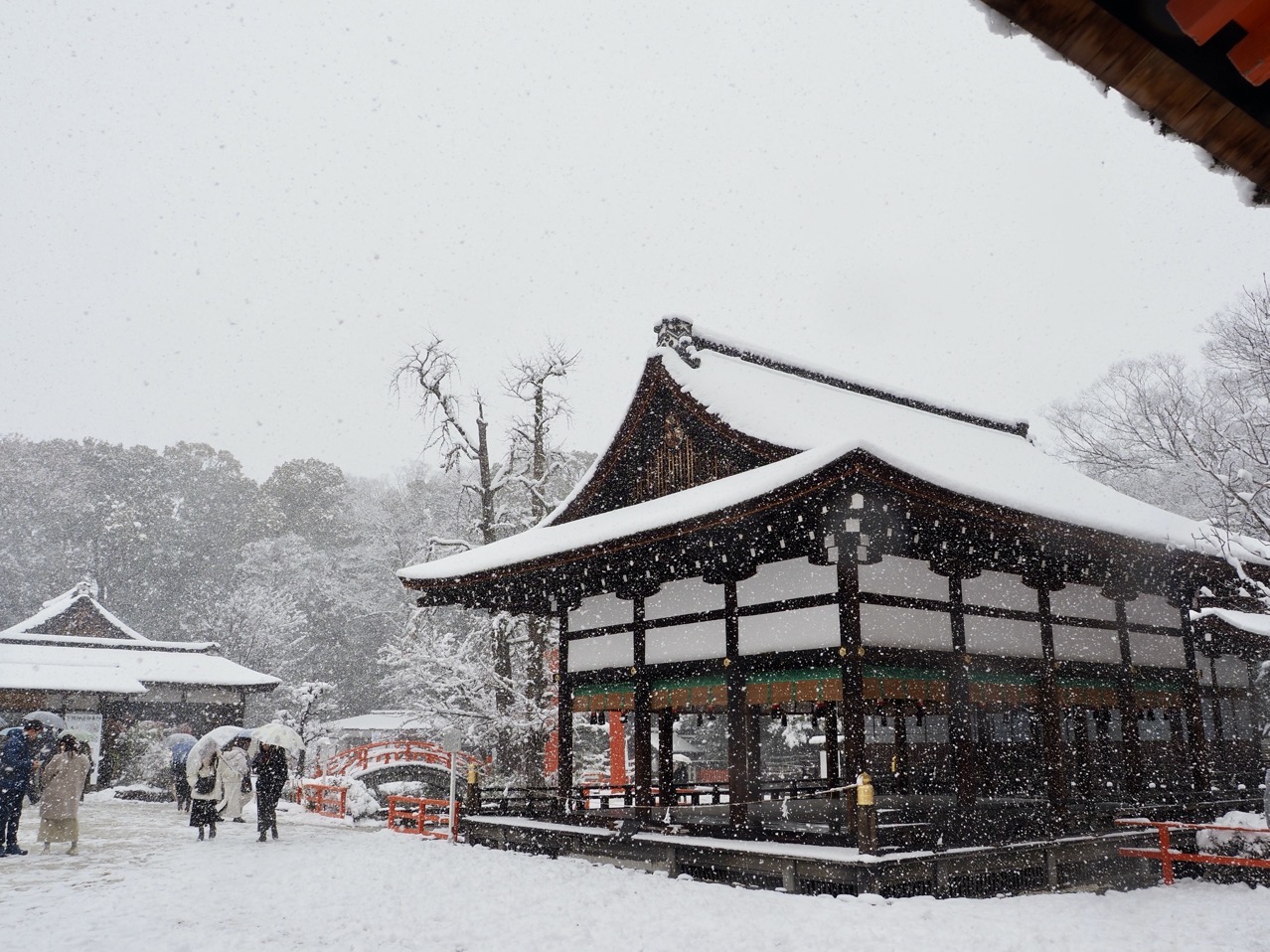 2026-02-08 14-33-46.