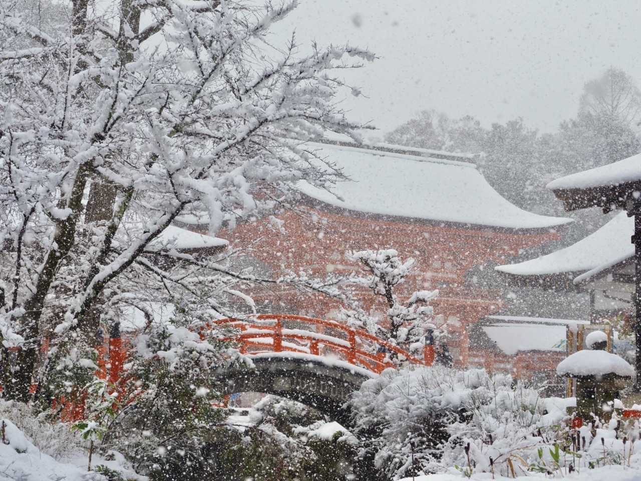 2026-02-08 14-36-34.