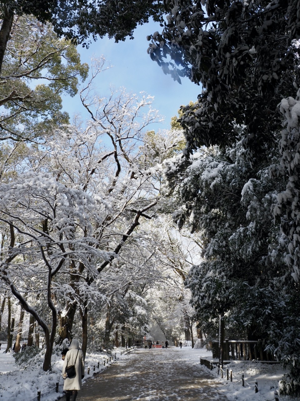 2026-02-08 14-50-36.