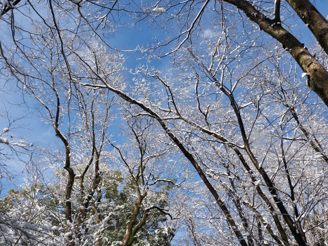 2026-02-08 14-52-47.