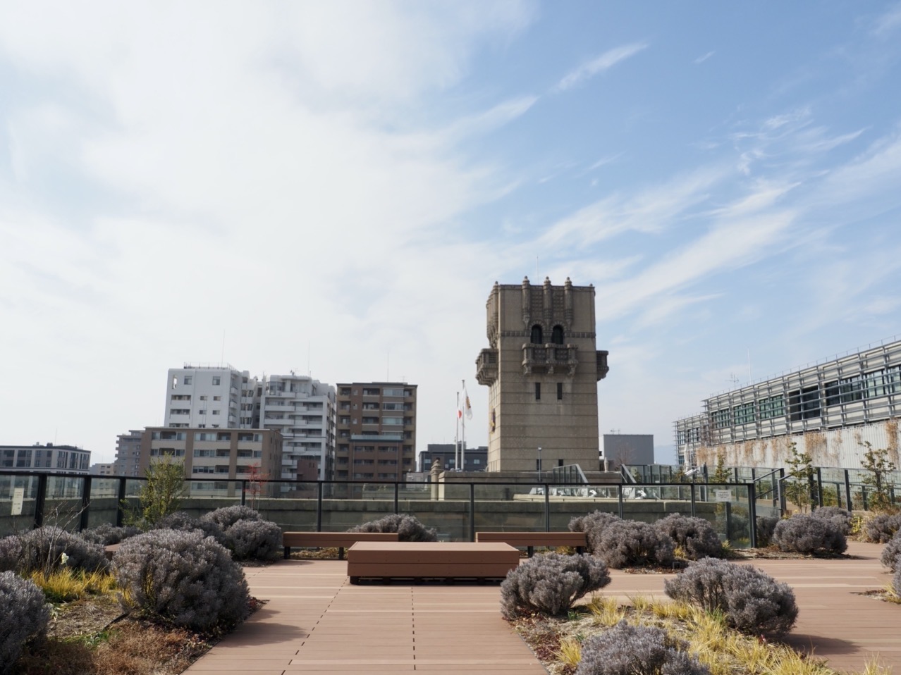 2026-02-14 12-55-33.jpeg 2026-02-14 12-55-33.