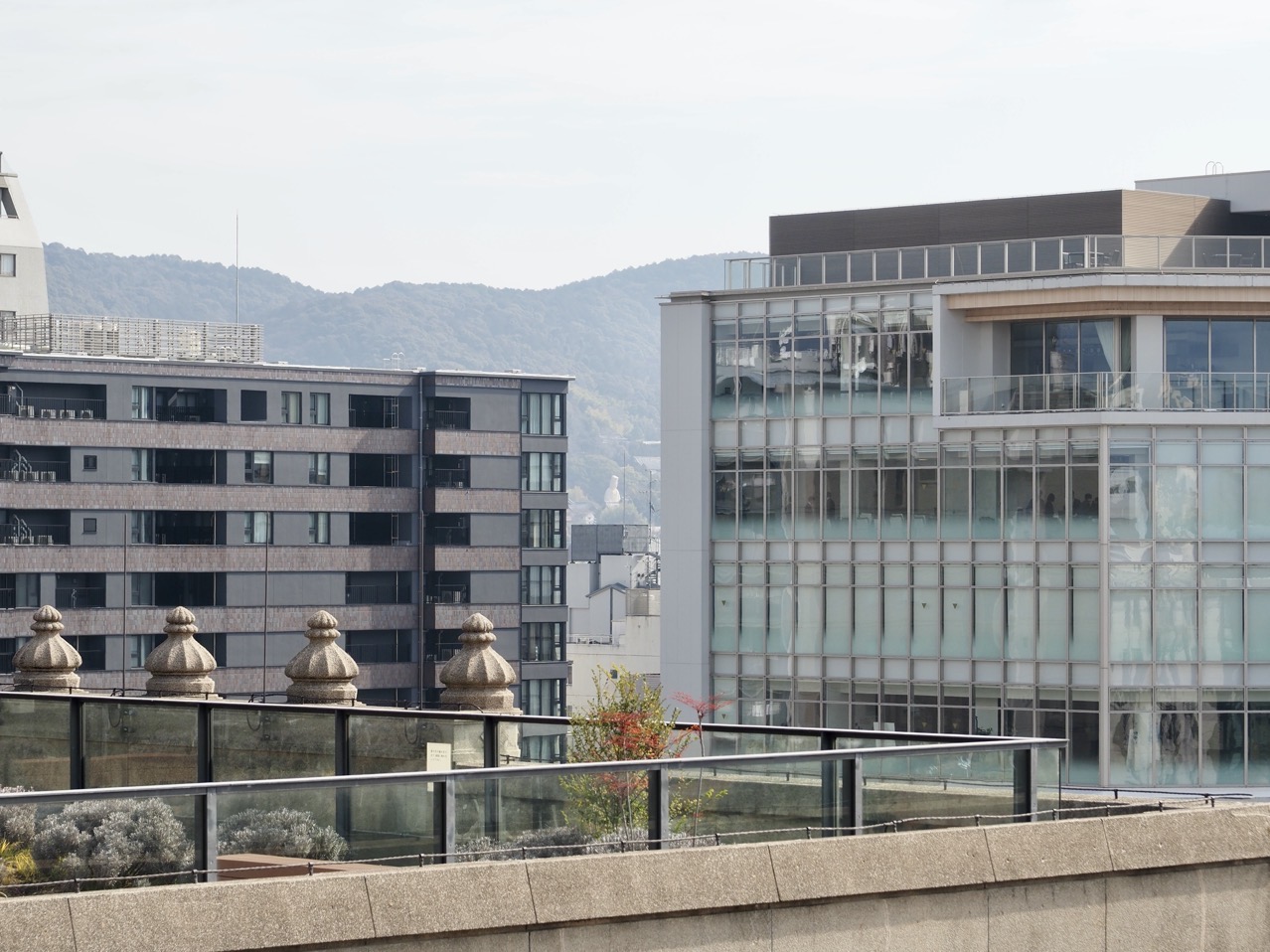 2026-02-14 12-56-18.jpeg 2026-02-14 12-56-18.